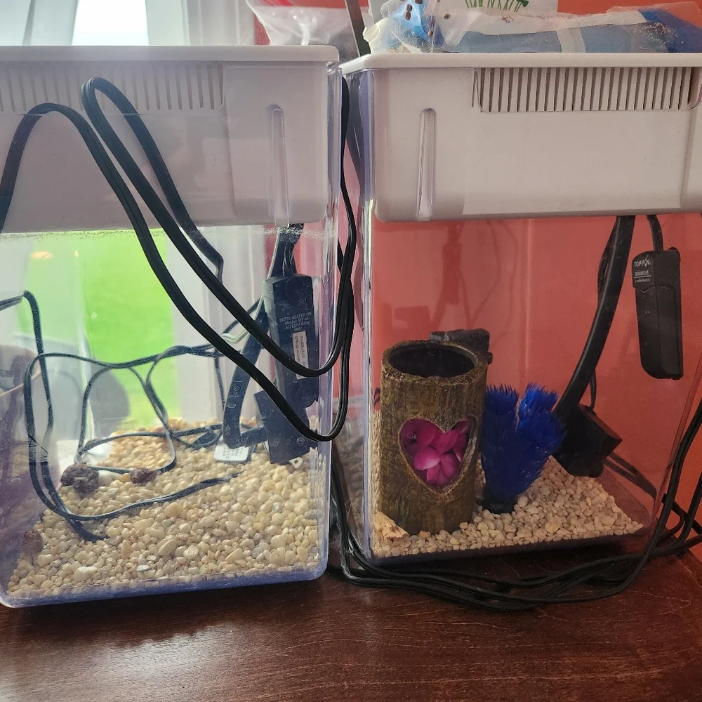 Aquaponic fish tank